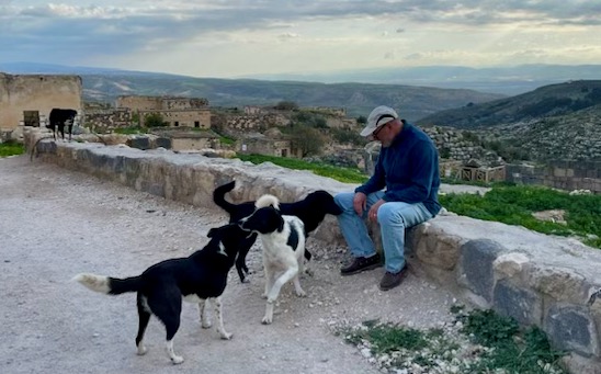 Dogs at Gadara